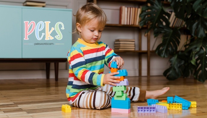 Kindergarten Schools in Ludhiana
